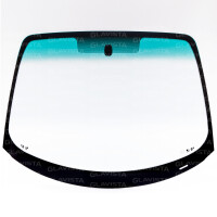 WS VSG Ren. Megane Scenic 03- +SPH